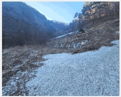  2025Ÿ��1120  �����