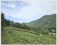  2025Ÿ��1311 ���� ��â�� ���θ� ���׸� 220-1      ����(��1)���