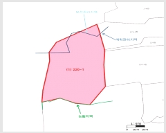  2025Ÿ��1311 ���� ��â�� ���θ� ���׸� 220-1      ����(��1)���