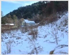  2025Ÿ��30197 ���� ������ �Ӱ�� ������ 431-1      ����(��1)���