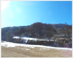  2025Ÿ��30241 ���� ��â�� ����ɸ� Ⱦ�踮 243-1      ����(��1)���