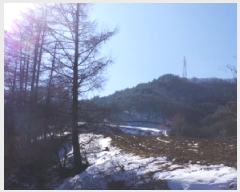  2025Ÿ��30241 ���� ��â�� ����ɸ� Ⱦ�踮 243-1      ����(��1)���