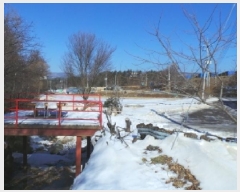  2025Ÿ��30241 ���� ��â�� ����ɸ� Ⱦ�踮 243-1      ����(��1)���