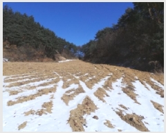  2025Ÿ��30272  �����