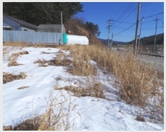  2025Ÿ��30272  �����