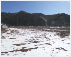  2025Ÿ��30272  �����