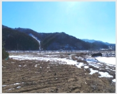  2025Ÿ��30272  �����