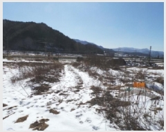  2025Ÿ��30272  �����