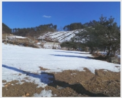  2025Ÿ��30339  �����