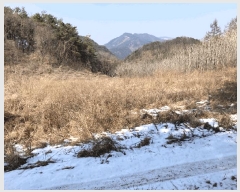  2025Ÿ��30369  �����