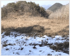  2025Ÿ��30369  �����