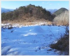  2025Ÿ��30369  �����