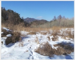  2025Ÿ��30369  �����