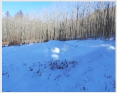  2025Ÿ��30369  �����