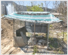  2025Ÿ30374     450-17      ()