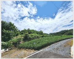  2025Ÿ��30377 ���� ������ ��õ�� ���ϸ� ��412      ����(�Ӿ�)���