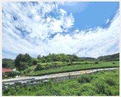  2025Ÿ��30377 ���� ������ ��õ�� ���ϸ� ��412      ����(�Ӿ�)���