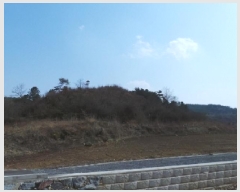  2025Ÿ��30377 ���� ������ ��õ�� ���ϸ� ��412      ����(�Ӿ�)���