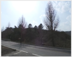  2025Ÿ��30377 ���� ������ ��õ�� ���ϸ� ��412      ����(�Ӿ�)���