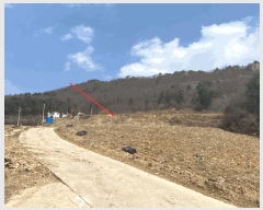  2025Ÿ��30379 ���� ��â�� ���θ� �����θ� 230      ����(��1)���