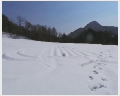  2025Ÿ��30379 ���� ��â�� ���θ� �����θ� 230      ����(��1)���