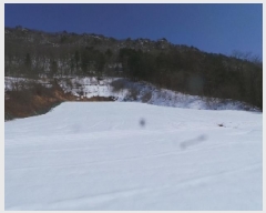  2025Ÿ��30379 ���� ��â�� ���θ� �����θ� 230      ����(��1)���