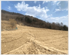  2025Ÿ��30379 ���� ��â�� ���θ� �����θ� 230      ����(��1)���