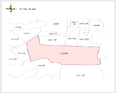  2025Ÿ��30379 ���� ��â�� ���θ� �����θ� 230      ����(��1)���