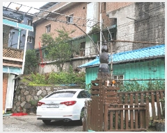  2025Ÿ��30402 ���� ������ ����� ��ϸ� 284-56      ����(����)���