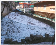  2025Ÿ��30402 ���� ������ ����� ��ϸ� 284-56      ����(����)���