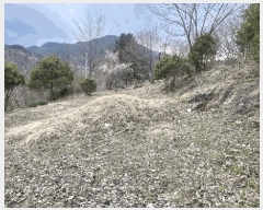  2025Ÿ30404     373      (1)