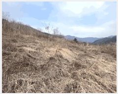  2025Ÿ30404     373      (1)