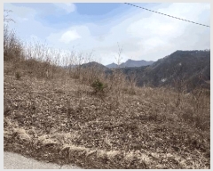  2025Ÿ30404     373      (1)