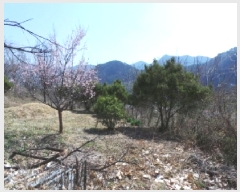  2025Ÿ30404     373      (1)