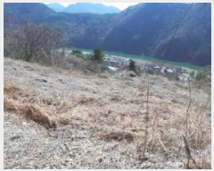  2025Ÿ30404     373      (1)