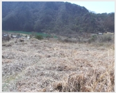  2025Ÿ30404     373      (1)