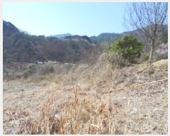  2025Ÿ30404     373      (1)