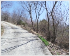  2025Ÿ30404     373      (1)