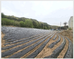  2025Ÿ��30412 ���� ��â�� ����� ��¸� 873-1      ����(��1)���