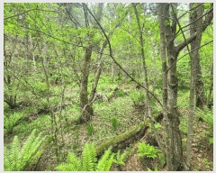  2025Ÿ��30412 ���� ��â�� ����� ��¸� 873-1      ����(��1)���