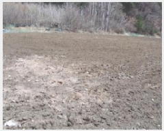  2025Ÿ��30412 ���� ��â�� ����� ��¸� 873-1      ����(��1)���