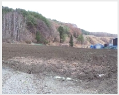  2025Ÿ��30412 ���� ��â�� ����� ��¸� 873-1      ����(��1)���