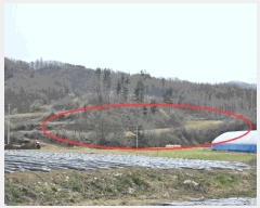  2025Ÿ��30420  �����