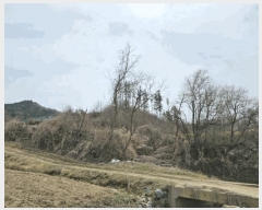  2025Ÿ��30420  �����