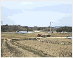  2025Ÿ��30420  �����