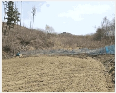  2025Ÿ��30420  �����