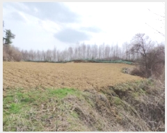  2025Ÿ��30420  �����