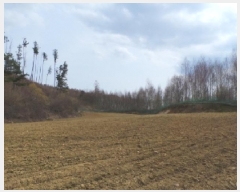  2025Ÿ��30420  �����