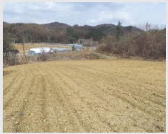  2025Ÿ��30420  �����