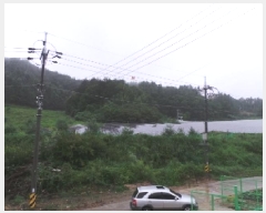  2025Ÿ��30423 ���� ��â�� ����� ���� 547      ����(������)���